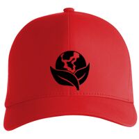 Flexfit Delta cap (180) Vignette
