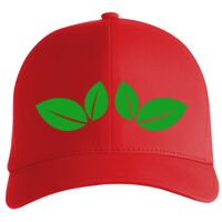 Flexfit Delta cap (180) Vignette