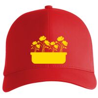 Flexfit Delta cap (180) Vignette