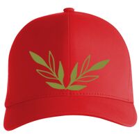 Flexfit Delta cap (180) Vignette