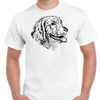 T-shirt Gildan Hammer adulte, manches courtes, 100% coton épais et doux, 203 g/m², tailles S au 5XL. Vignette