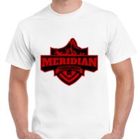 T-shirt Gildan Hammer adulte, manches courtes, 100% coton épais et doux, 203 g/m², tailles S au 5XL. Vignette