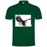 POLO IMPERIUM Vignette