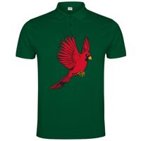 POLO IMPERIUM Vignette