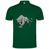 POLO IMPERIUM Vignette