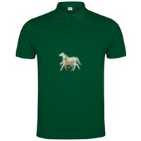 POLO IMPERIUM Vignette