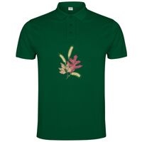 POLO IMPERIUM Vignette