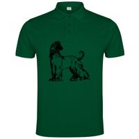 POLO IMPERIUM Vignette