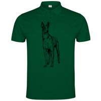 POLO IMPERIUM Vignette