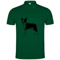 POLO IMPERIUM Vignette