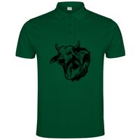 POLO IMPERIUM Vignette