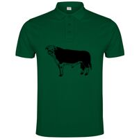 POLO IMPERIUM Vignette