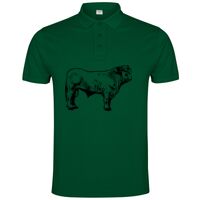 POLO IMPERIUM Vignette