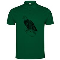 POLO IMPERIUM Vignette