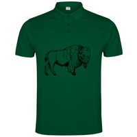 POLO IMPERIUM Vignette