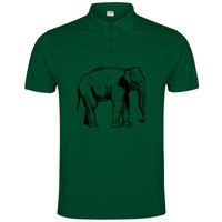 POLO IMPERIUM Vignette