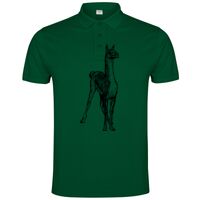 POLO IMPERIUM Vignette