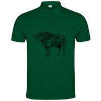 POLO IMPERIUM Vignette