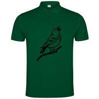 POLO IMPERIUM Vignette