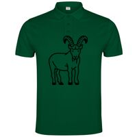 POLO IMPERIUM Vignette