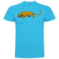 T-shirt Enfant, Awu Adodoé Braco de marque Roly Vignette