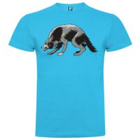 T-shirt Enfant, Awu Adodoé Braco de marque Roly Vignette