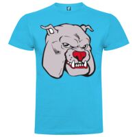 T-shirt Enfant, Awu Adodoé Braco de marque Roly Vignette