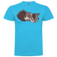 T-shirt Enfant, Awu Adodoé Braco de marque Roly Vignette