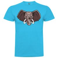 T-shirt Enfant, Awu Adodoé Braco de marque Roly Vignette
