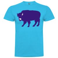 T-shirt Enfant, Awu Adodoé Braco de marque Roly Vignette