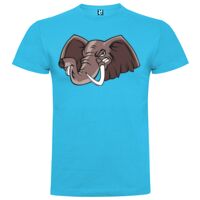 T-shirt Enfant, Awu Adodoé Braco de marque Roly Vignette