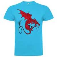 T-shirt Enfant, Awu Adodoé Braco de marque Roly Vignette