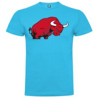 T-shirt Enfant, Awu Adodoé Braco de marque Roly Vignette