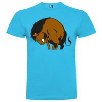 T-shirt Enfant, Awu Adodoé Braco de marque Roly Vignette