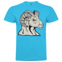 T-shirt Enfant, Awu Adodoé Braco de marque Roly Vignette