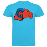 T-shirt Enfant, Awu Adodoé Braco de marque Roly Vignette