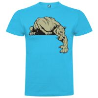 T-shirt Enfant, Awu Adodoé Braco de marque Roly Vignette