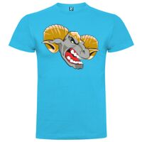 T-shirt Enfant, Awu Adodoé Braco de marque Roly Vignette