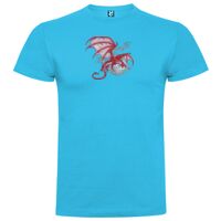 T-shirt Enfant, Awu Adodoé Braco de marque Roly Vignette