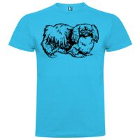 T-shirt Enfant, Awu Adodoé Braco de marque Roly Vignette