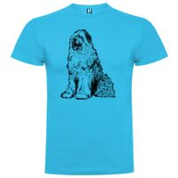 T-shirt Enfant, Awu Adodoé Braco de marque Roly Vignette