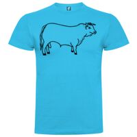 T-shirt Enfant, Awu Adodoé Braco de marque Roly Vignette