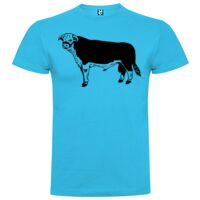 T-shirt Enfant, Awu Adodoé Braco de marque Roly Vignette