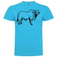 T-shirt Enfant, Awu Adodoé Braco de marque Roly Vignette