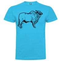 T-shirt Enfant, Awu Adodoé Braco de marque Roly Vignette