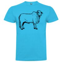 T-shirt Enfant, Awu Adodoé Braco de marque Roly Vignette