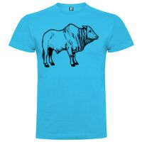 T-shirt Enfant, Awu Adodoé Braco de marque Roly Vignette