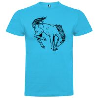 T-shirt Enfant, Awu Adodoé Braco de marque Roly Vignette