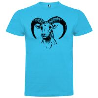 T-shirt Enfant, Awu Adodoé Braco de marque Roly Vignette