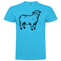T-shirt Enfant, Awu Adodoé Braco de marque Roly Vignette
